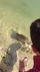 ADANA BARAJI SAZAN AVI