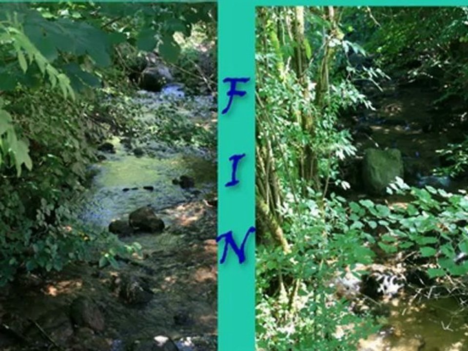 MOULIN RICHARD DE BAS2