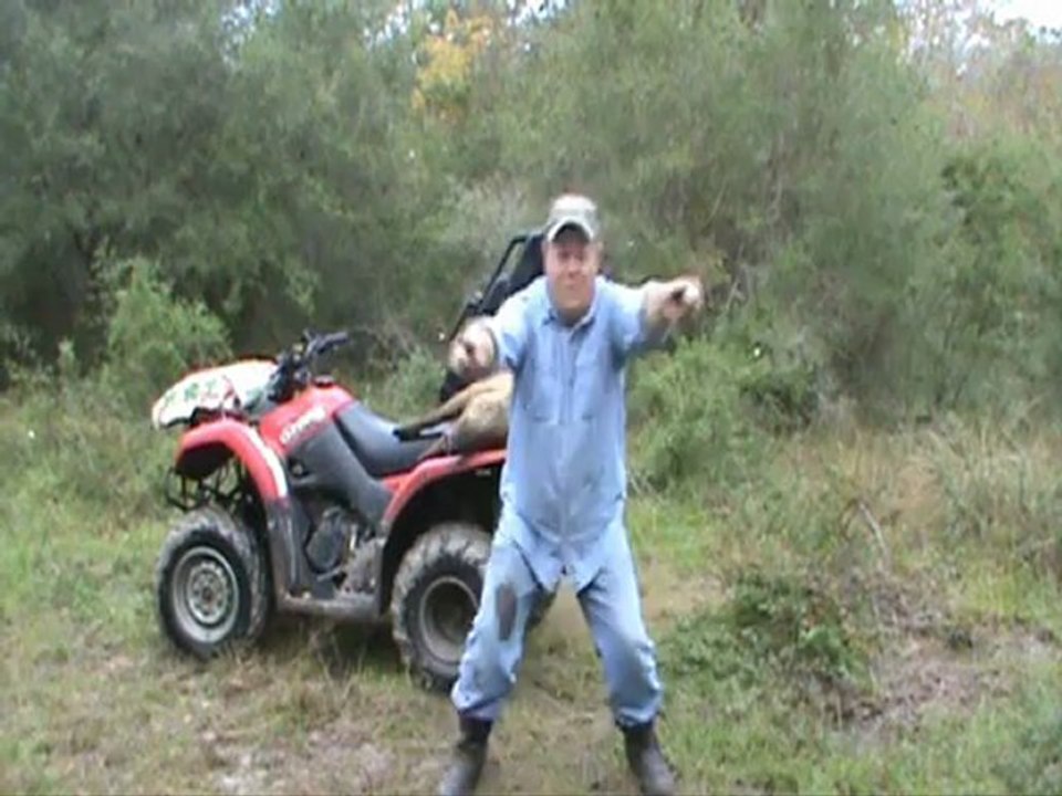 The Hog Zone  #10
