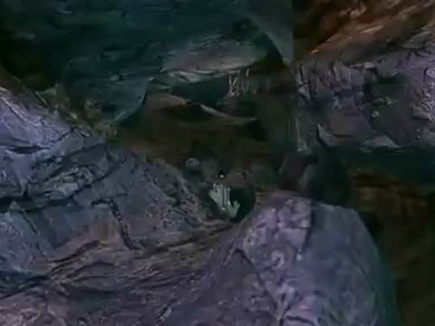 Puzzle - Secret d'Urmaug - Guild Wars 2