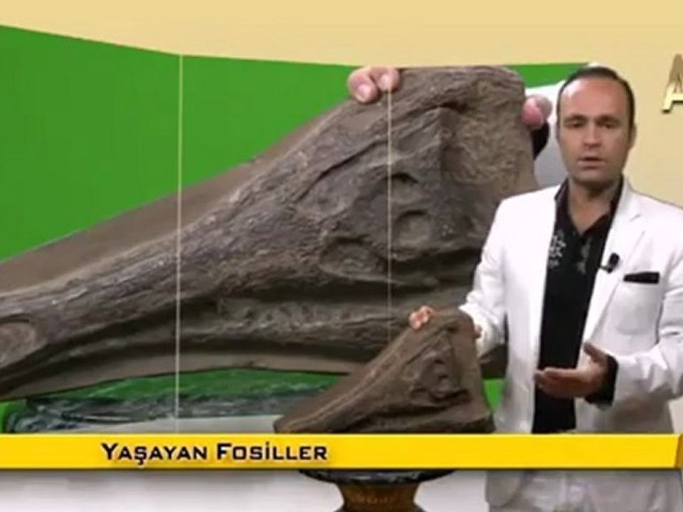 Milyonlarca yıldır değişmeyen timsahlar.! -