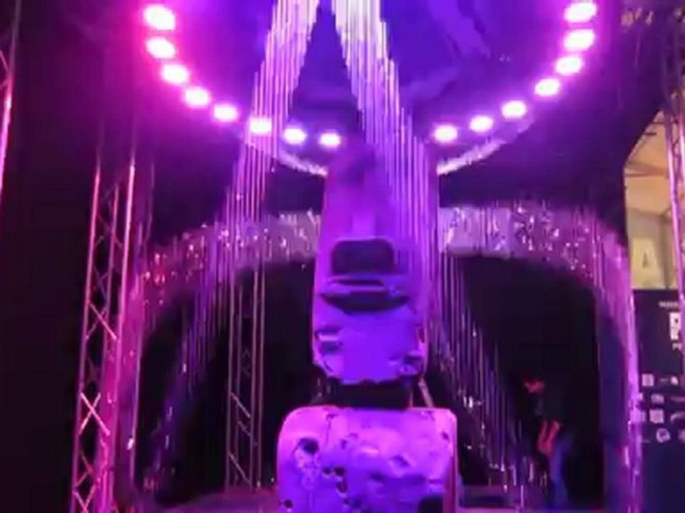 Statue de l'Ile de Paques ~ Exposition RAPA NUI