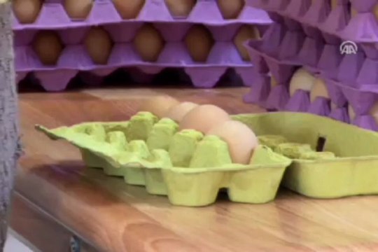Özgür tavuk yumurtalarına ilgi çok