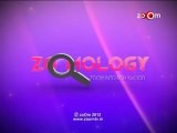 zoOmlogy: Which was the 1st Bollywood movie to be shown abroad