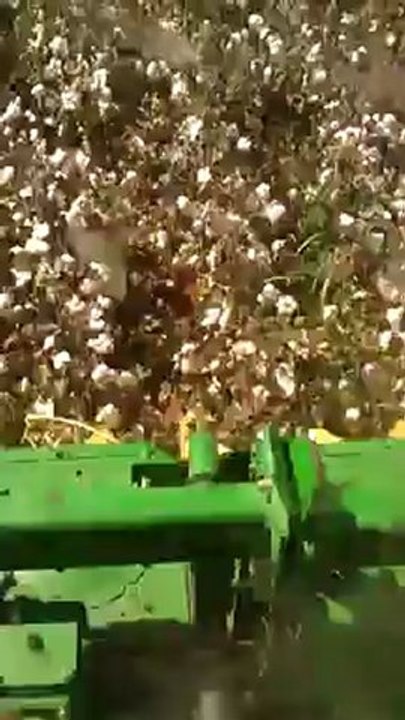 VIDEO0397