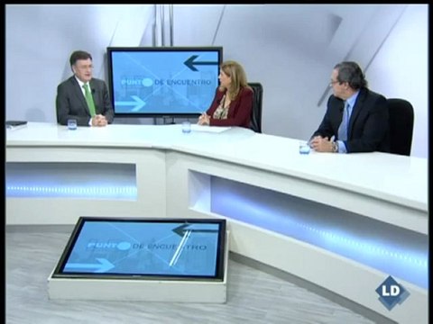 LD Punto de Encuentro: Diputación de Segovia - 28/11/11