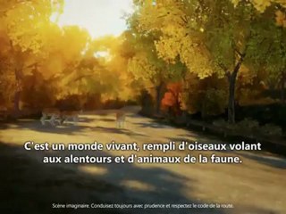 Forza Horizon - Les décors du Colorado