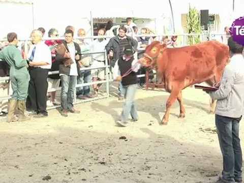 21 au 23 septembre 2012 - Spécial foire de Lessay