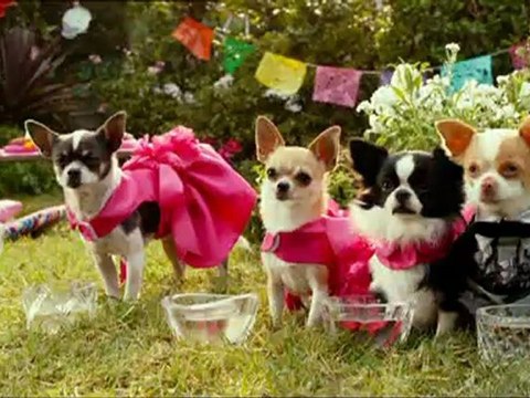 Orange TV Estrenos Trailers: Un chihuahua en Beverly Hills 3