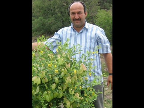 MAUN 107 KURAN Sureindir BilgeAdam SADİ Agatv Akcakese Güdül ADNAN ÖZTÜRK Adnantv Kusay akcakesetv