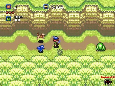 Soleil Part 4/ L'écureuil et le guépard