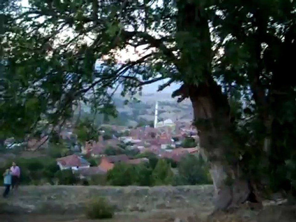 mahallu tepesi ve tarihi pelit ağacı 1