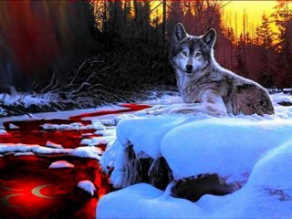 ALİ KINIK - KİMSE ANLAMADI ÖĞKÜMÜZÜ