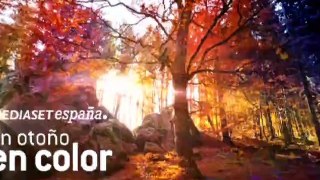 Mediaset España / Un otoño en color - cortinilla