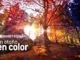 Mediaset España / Un otoño en color - cortinilla