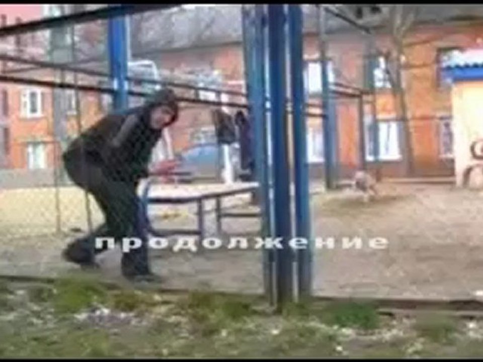 TreT – The PARKOUR DOG – Awesome Agility