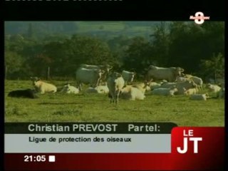 Corbeaux Tueurs : Ligue de Protection des Oiseaux