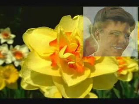 IŞIL YÜCESOY YA SENİNLE YA SENSİZ