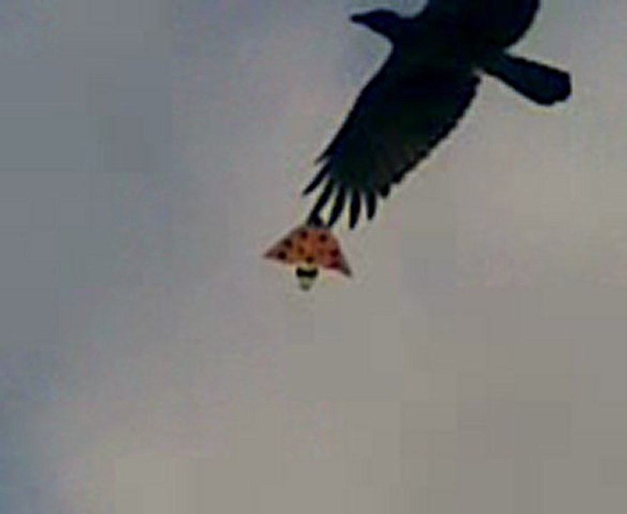 Video021