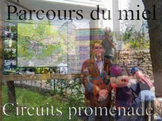 votez bien mes amis.....