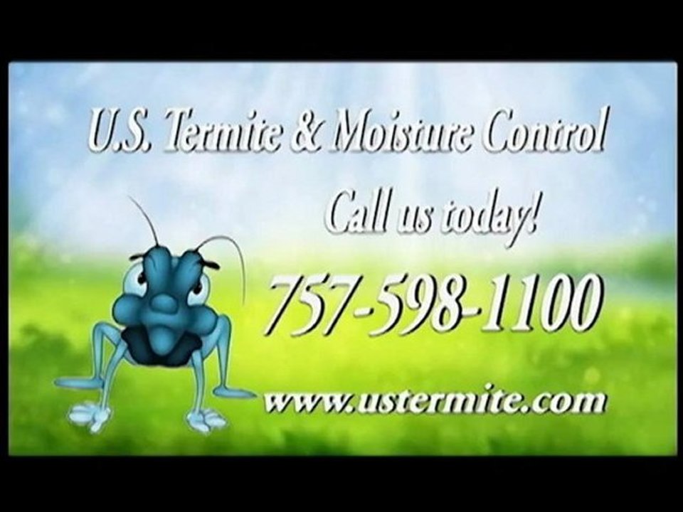 Termites - Bed Bugs - Ants - Oh My 757-598-1100