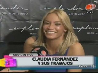 CLAUDIA FERNÁNDEZ:  PROYECTOS 2013