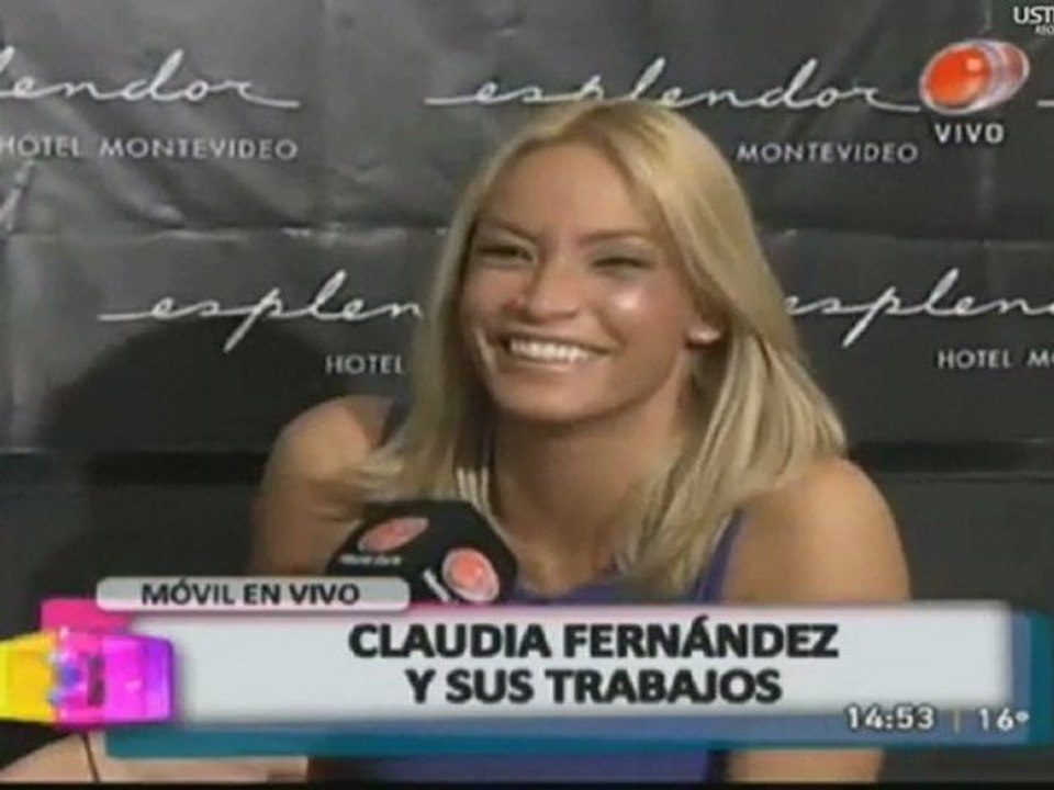 CLAUDIA FERNÁNDEZ:  PROYECTOS 2013