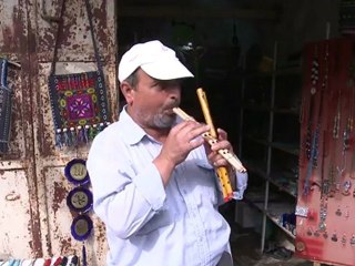 François Alfonsi en Palestine