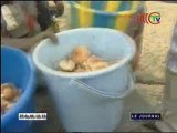 A Ignié dans le Pool les élèves occupés à la vente et à la cueillette des champignons