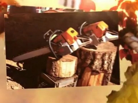 All Timber Tree Service - (228) 348-1475