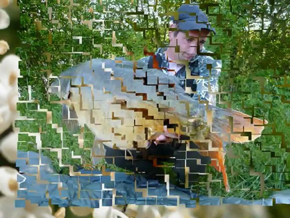 Osmose Korp