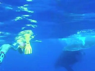 Danse avec les baleines