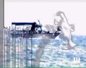 Les Wampas - Manu Chao