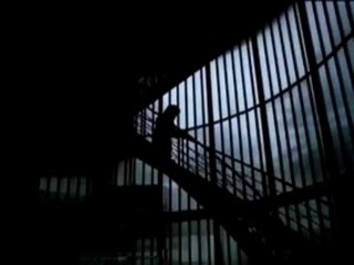 Alfa 147 - Stay Alive - Wake Up