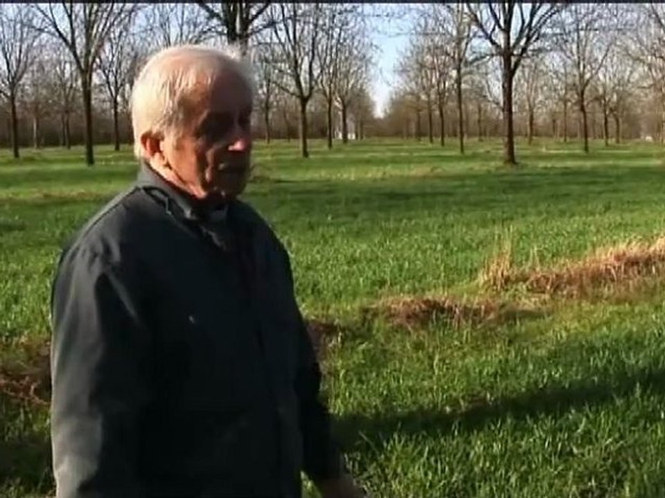 M.Claude JOLLET agroforestier - 2008