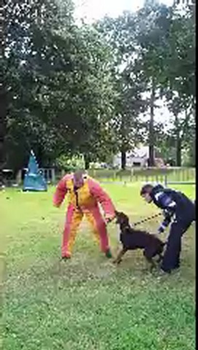 Regionale DCF Malestroit, TAN