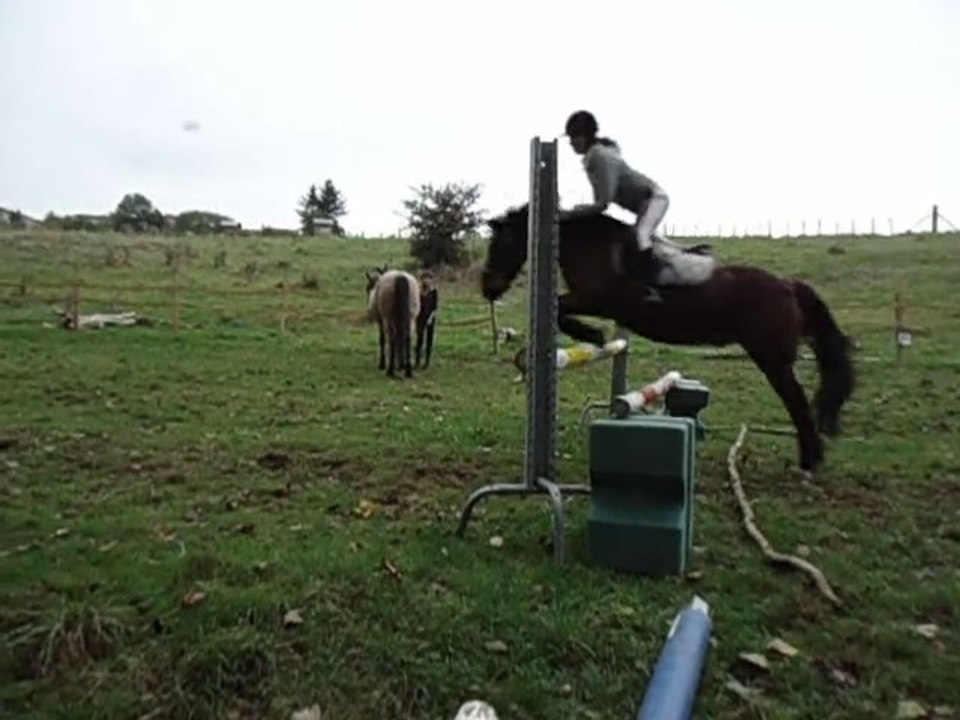 Lucky & Lorrine 90 cm