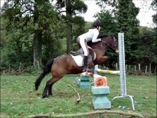 Lorrine & Lucky Oxer 90 cm (2)