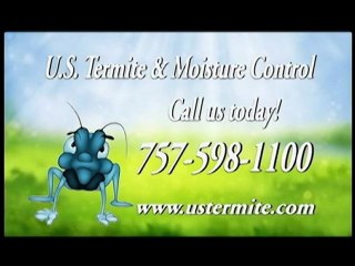 Call The Professionals In Pest Control - 757-598-1100
