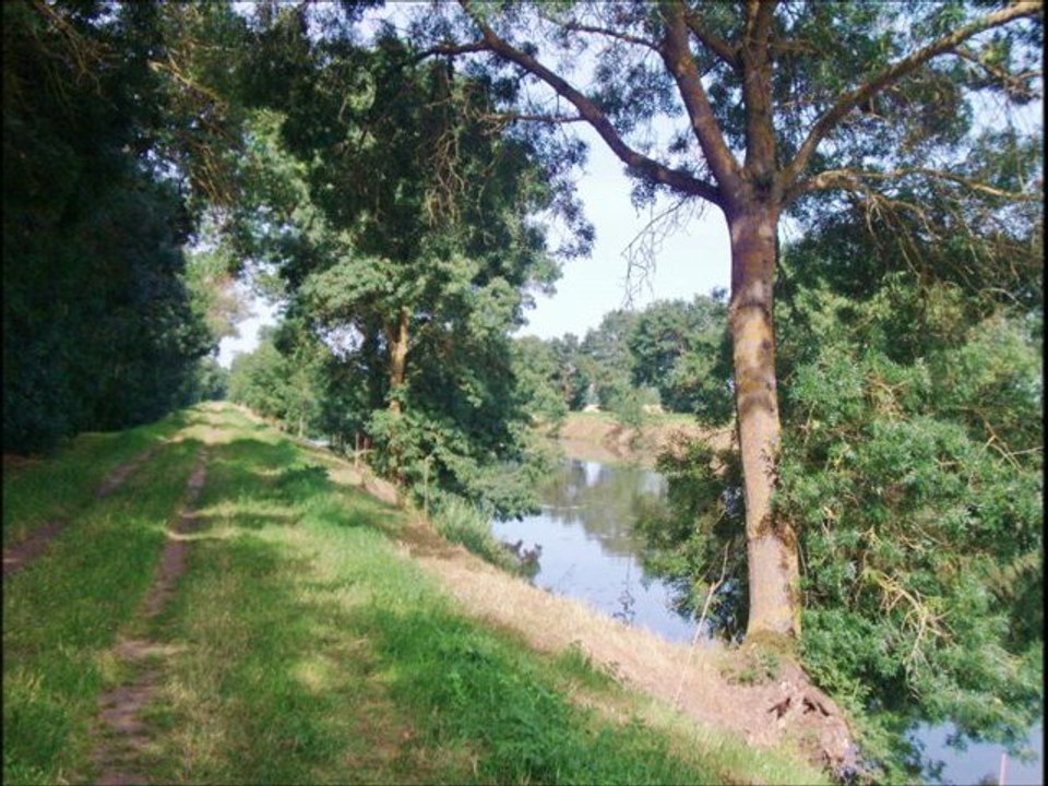 corné