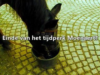 Moenaert: 'Tevreden met mijn werk in Brugge'