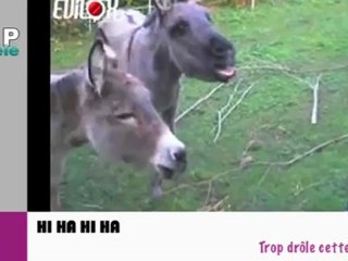 Zapping du net du 2 octobre 2012