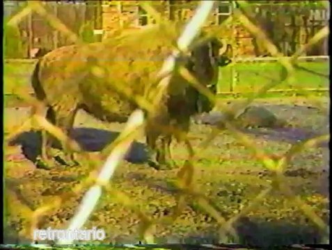 WKBW Buffalo 7 Eyewitness News open April 11, 1988