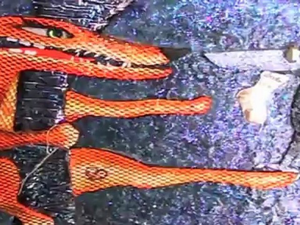 Le Corbeau et le Renard complètement perchés