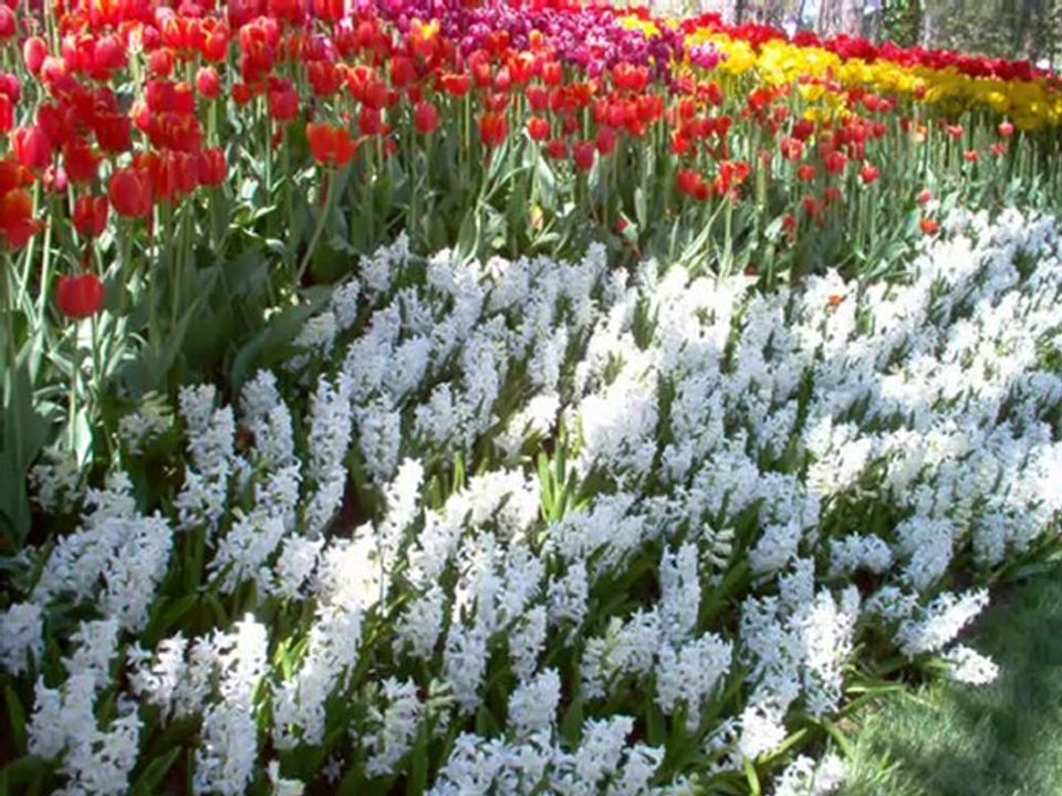 ARDAĞAN..AHMET ACAR ŞİİR VİDEO