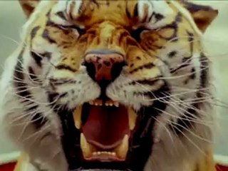 La vida de Pi - Segundo Tráiler Español HD [720p]