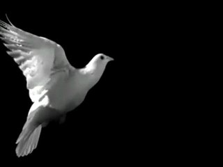 "La historia de una adoradora" (2°Parte) Pr. Enos Mardones.