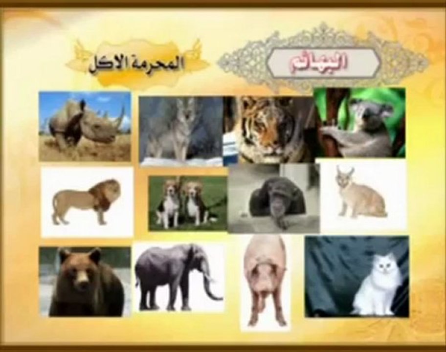 سلسلة الفقه المصور طبقاً لرأي السيد السيستاني دام ظله في المسائل الفقهية: النجاسات