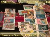 Horoscopo Capricornio del 20 al 26 de febrero 2011 - Lectura del Tarot