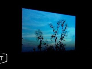 Au cœur de la forêt avec Image Nature (Vendée)